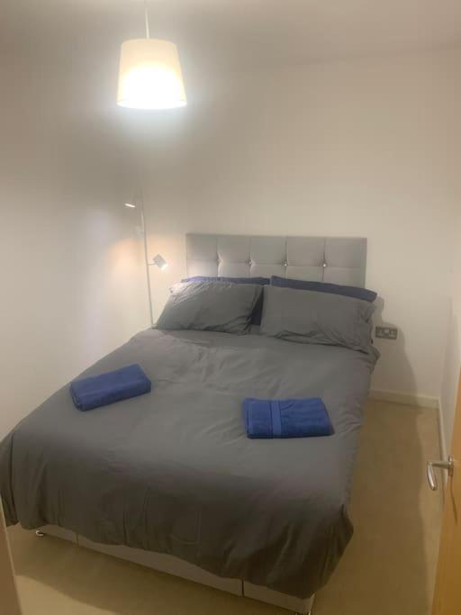 Hidden Gem Apartman Cardiff Kültér fotó